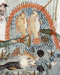 Peces, detalle de la escena de caza y pesca en los pantanos, fresco, pared norte, cámara longitudinal, Tumba Tebana TT69, Sheikh Abd el-Qurna, Tebas (Lista del Patrimonio Mundial de la Unesco)