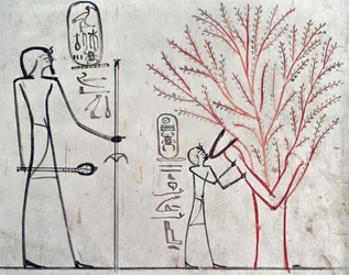 Isis metamorfoseada en un sicomoro amamantando a Tutmosis III (c.1479-1425 a.C.)