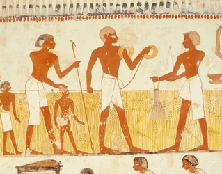Midiendo la tierra usando cuerda, de la Capilla de la Tumba de Menna, Nuevo Reino