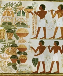 Hombres llevando fruta y comida para los difuntos