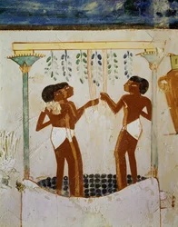 Hombres pisando uvas, uno trasegando mosto