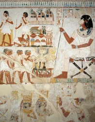 Menna supervisando a sus trabajadores en los campos, detalle de frescos en el vestíbulo de la Tumba de Menna, Necrópolis de Sheikh Abd el Qurnah, Luxor, Tebas (Lista del Patrimonio Mundial de la Unesco)