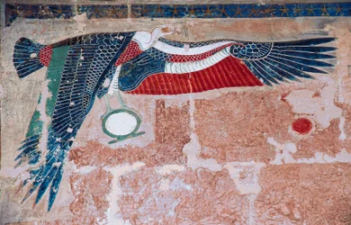 Relieve pintado que representa un buitre del Alto Egipto, Templo Mortuorio de Hatshepsut, Deir el-Bahari, Luxor, Tebas (Lista del Patrimonio Mundial de la Unesco