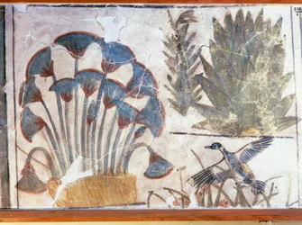 Pintura que representa un pato entre plantas, del palacio de Akhenaton, El-Awara, Egipto.