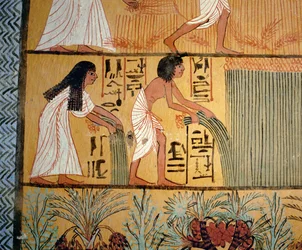 Pareja de campesinos cosechando