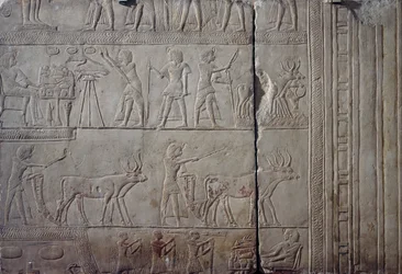 Faraón Horemheb, representado mientras realiza labores agrícolas en los campos de Iaru, recibiendo la cosecha ofrecida por los agricultores, relieve mural en piedra caliza, procedente de la Tumba Menfita de Horemheb en Saqqara, Civilización egipcia, Reino 