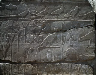 Plantas y animales traídos de la expedición de Tutmosis III a Siria en 1465 a.C., detalle del relieve, sala conocida como el llamado Jardín Botánico, Templo de Amón, Complejo del Templo de Karnak, Civilización egipcia, Reino Nuevo, Dinastía XVIII