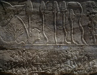 Plantas traídas de la expedición de Tutmosis III a Siria en 1465 a.C., detalle del relieve, sala conocida como el llamado Jardín Botánico, Templo de Amón, Complejo del Templo de Karnak, Civilización egipcia, Reino Nuevo, Dinastía XVIII