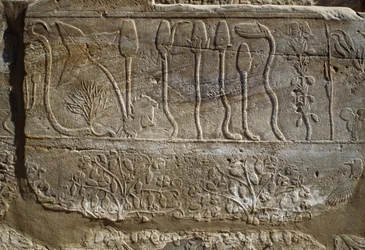 Relieve de animales y plantas ofrecidos a Amón por Tutmosis III a su regreso de la campaña de Siria en 1465 a.C., Sala del Jardín Botánico, Karnak, Necrópolis Tebana, Luxor, Egipto, Reino Nuevo, Dinastía XVIII