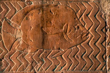Representación de peces, escenas del Reino de Punt, muro sur de la columnata central, Templo Mortuorio de Hatshepsut, Deir el-Bahari, Luxor, Tebas (Lista del Patrimonio Mundial de la Unesco