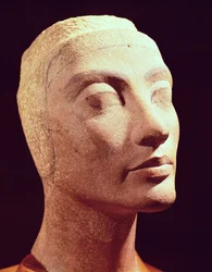 Cabeza inacabada de Nefertiti, Nuevo Reino