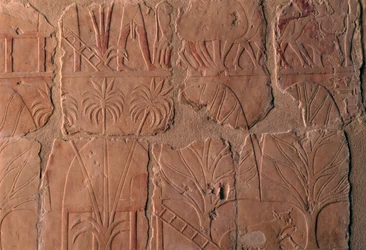 Aldea con cabañas, escenas del reino de Punt, muro sur de la columnata central, Templo mortuorio de Hatshepsut, Deir el-Bahari, Necrópolis tebana (Lista del Patrimonio Mundial de la UNESCO