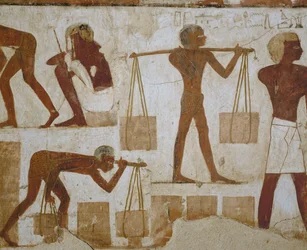 Obreros cargando materiales de construcción