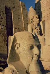 Cabeza colosal de Ramsés II