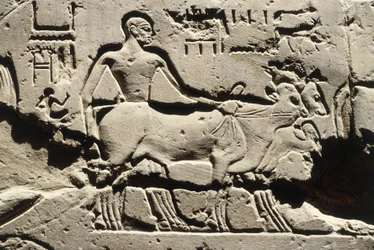 Egipto Antiguo bes, Luxor, Templo de Luxor, Patio de Ramsés II, relieve, Nuevo Reino, Dinastía XIX (1290-1224 a.C.)