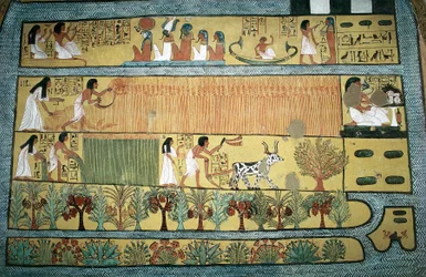 Egipto, Tebas, pueblo de trabajadores estatales en Dayr al-Madinah (Deir el-Medina), tumba de Sennedjem, fresco que representa escenas agrícolas en los campos de Ialu, Reino Nuevo, dinastía XIX
