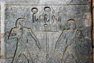 Antigüedad egipcia: detalle de la base de la estatua del faraón Ramsés II representando la unión del Alto y Bajo Egipto. Templo de Luxor. Orilla Este (Tebas), Egipto