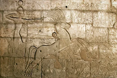 Antigüedad egipcia: vista de los relieves que celebran las hazañas de Ramsés II durante la batalla de Qadesh en 1274 a. C. El faraón está representado en su carro, el templo funerario dedicado al faraón Ramsés II (1279-1213 a. C.), yacimiento de Ramasseum