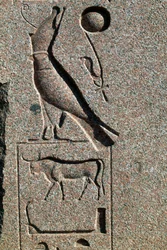 Jeroglífico con el nombre de Horus, Gran Templo de Amón, Tanis, Egipto, Reino Nuevo, Dinastía XIX
