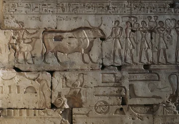 Relieve, Templo de Ramsés II, Abidos, Egipto, Civilización egipcia, Reino Nuevo, Dinastía XIX (foto)