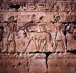 Relieve que representa oryx siendo llevado en procesión para el sacrificio, del Templo de Ramsés II, Reino Nuevo