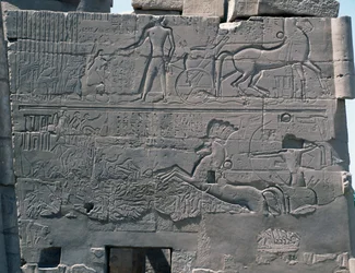 Batalla de Seti I contra Palestina, relieve, muro exterior este de la Gran Sala Hipóstila, complejo de templos de Karnak (Lista del Patrimonio Mundial de la Unesco