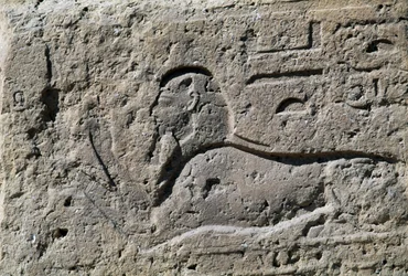 Esfinge, bloque con relieve, Gran Templo de Amón, Tanis, Egipto, Reino Nuevo, Dinastía XIX