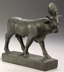 Toro Apis, Periodo Tardío