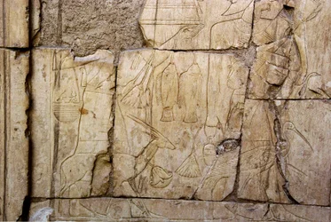 Antigüedad egipcia: relieve que representa a portadores de ofrendas. Tumba de Ankh-Hor (Ankh Hor) (TT414) (Dinastía XXVI, 672-525 a.C.), Luxor (Tebas), Egipto