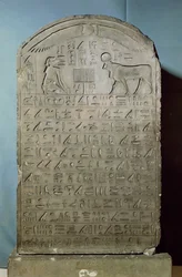 Estela conmemorativa del entierro del toro Apis durante el reinado de Ahmose II (Amasis) del Serapeum en Saqqara, Periodo Tardío, 547 a.C. (caliza)