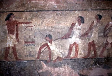 Pintura de Pescadores Tirando Redes en la Tumba de Khnumhotep II, Reino Antiguo, 2600-1500 a.C.