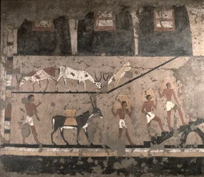 Escena agrícola, pintura mural retirada de la mastaba de Ti en Saqqara, Reino Antiguo, hacia 2494-2345 a. C.