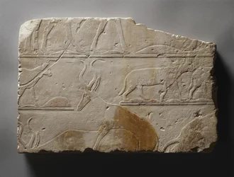 Relieve con animales del desierto, Reino Antiguo, encontrado en Saqqara, c.2472-2455 a.C.