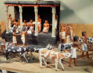 Modelo funerario de un censo de ganado, de la Tumba de Meketre, Tebas, Reino Medio, c.2000 a.C. (detalle)