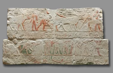 Relieve de escenas agrícolas, de Saqqara, c.2311-2281 a.C.
