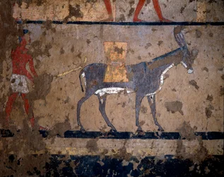 Antigüedad egipcia: el transporte de grano en el lomo de una mula. Pintura al temple en la pared de la tumba del canciller del rey Iti (o Ity) 2200-2000 a.C. De El Ghebelen, Luxor. Turín, Museo Egipcio