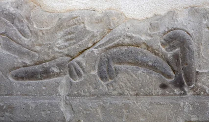 Montones de genitales masculinos cortados por el enemigo, Templo de Horus, Edfu.