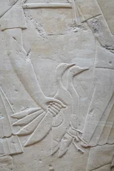Mano sujetando 2 ocas por las alas, tumba de Ramose