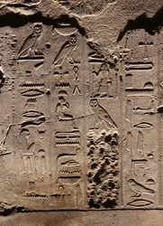 Jeroglíficos. Templo de Luxor (relieve)