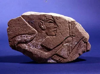 Cabeza en relieve de Nefertiti, de la tumba Abadaya B86 (piedra)