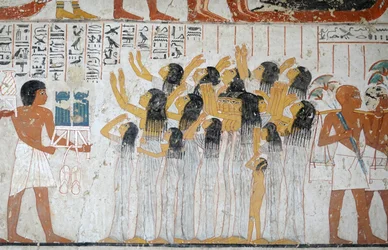 Escena del cortejo fúnebre, tumba de Ramose