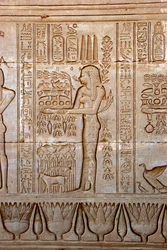 Antigüedad egipcia: representación de una joven llevando ofrendas como homenaje a la diosa, Templo de Hathor, Denderah, Egipto