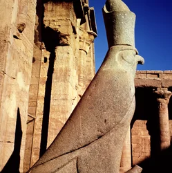Estatua de Horus, en el Patio de las Ofrendas del Templo de Horus