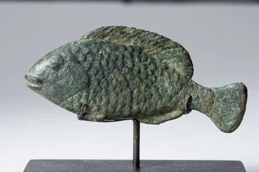 Pez Tilapia
