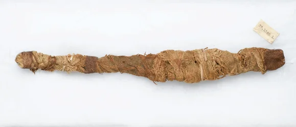 Momia de cocodrilo, encontrada en Manfalont, 305 a.C.-30 a.C.