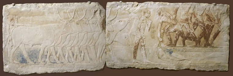 Relieve de campesinos conduciendo ganado y pescando, Reino Antiguo