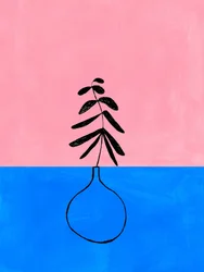 Planta minimalista rosa y azul