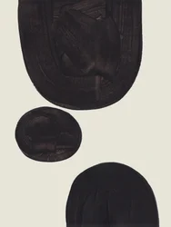 Formas negras orgánicas