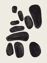 Formas negras orgánicas