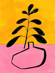 Planta en maceta de colores vivos